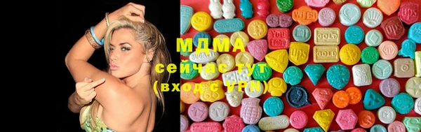 индика Армянск