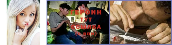 сатива Сосновый Бор