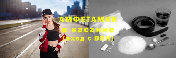 сатива Сосновый Бор