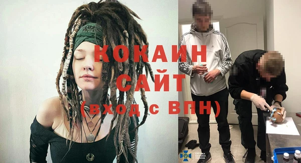 сатива Сосновый Бор