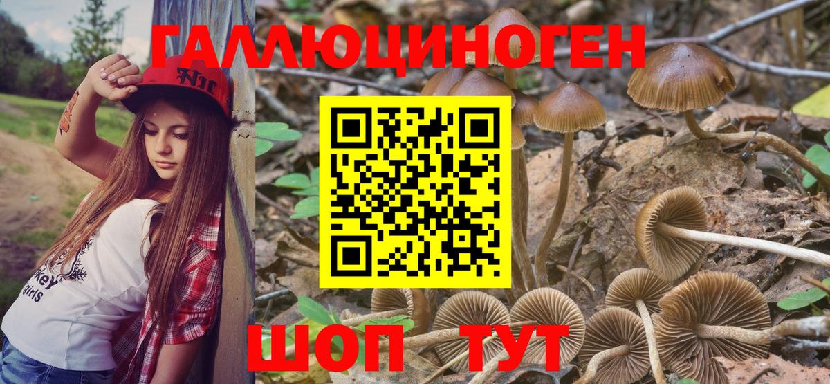 Меф кристаллы  ТГК  Подольск  Альфа ПВП СОЛЬ   Вход с VPN  Экстази  Гашиш  Кокаин  МДМА  Конопля 
